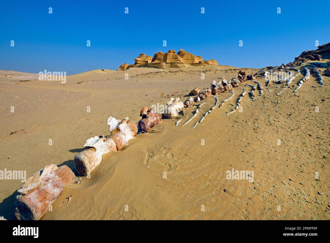 Egypt, Fayoum area, Wadi El Hitan, Whales valley listed as World