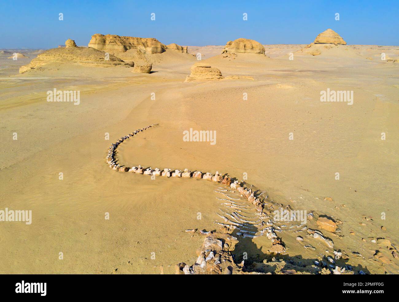 Egypt, Fayoum area, Wadi El Hitan, Whales valley listed as World