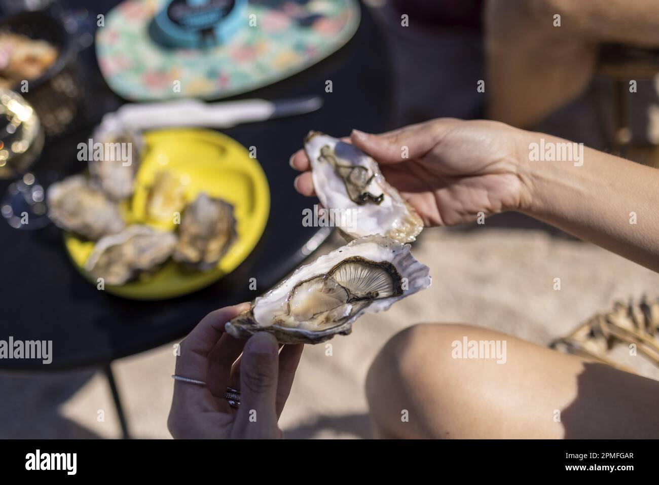 France, Cotes d'Armor, Paimpol, oyster tasting at Chez Arin oyster bar Stock Photo