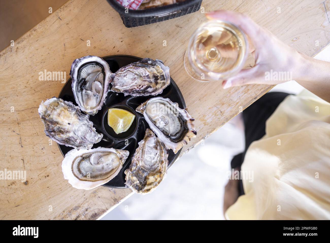 France, Cotes d'Armor, Paimpol, oyster tasting at Chez Arin oyster bar Stock Photo