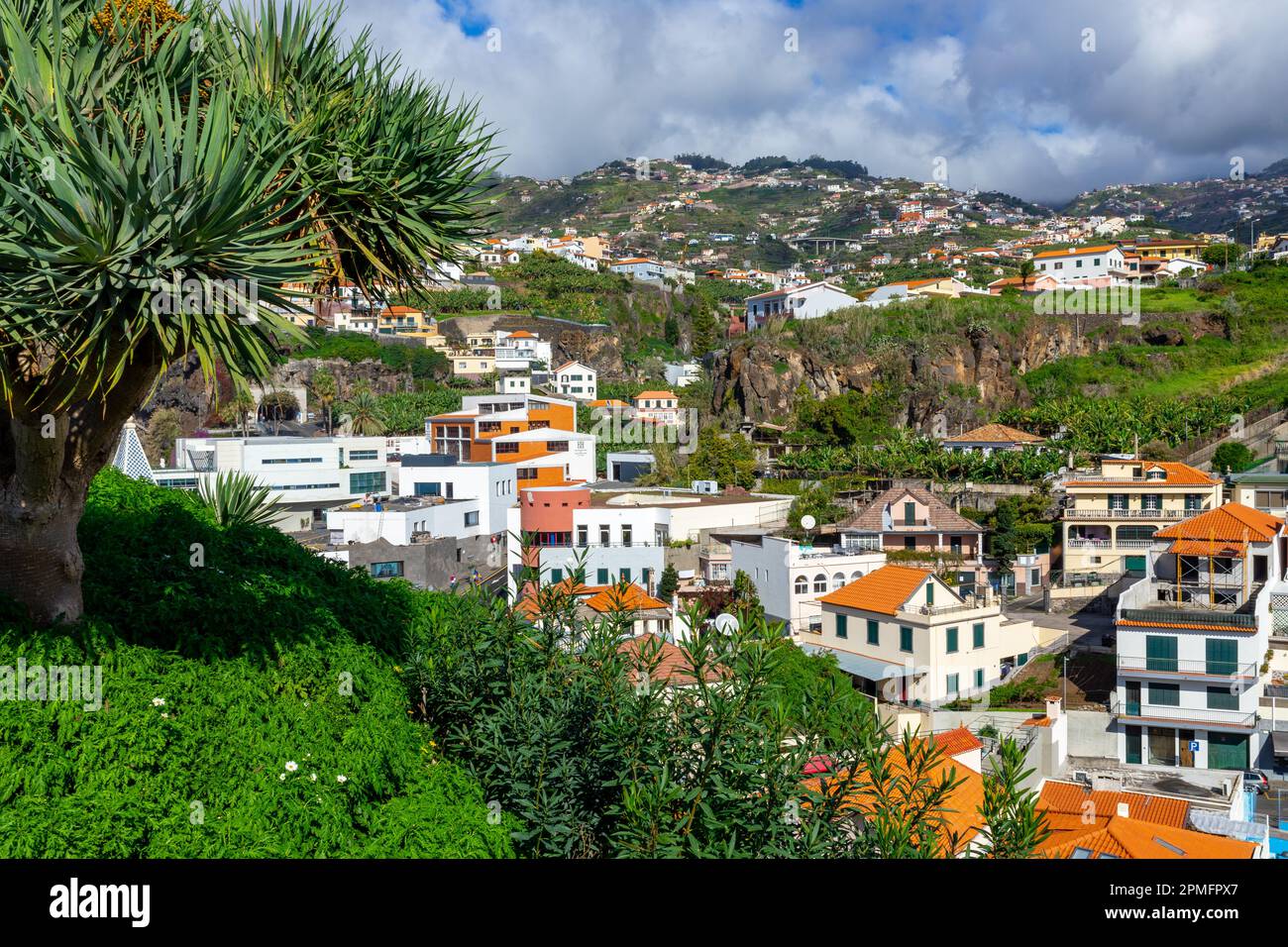Madeira. Camara de Lobos. Fisherman village, popular tourist