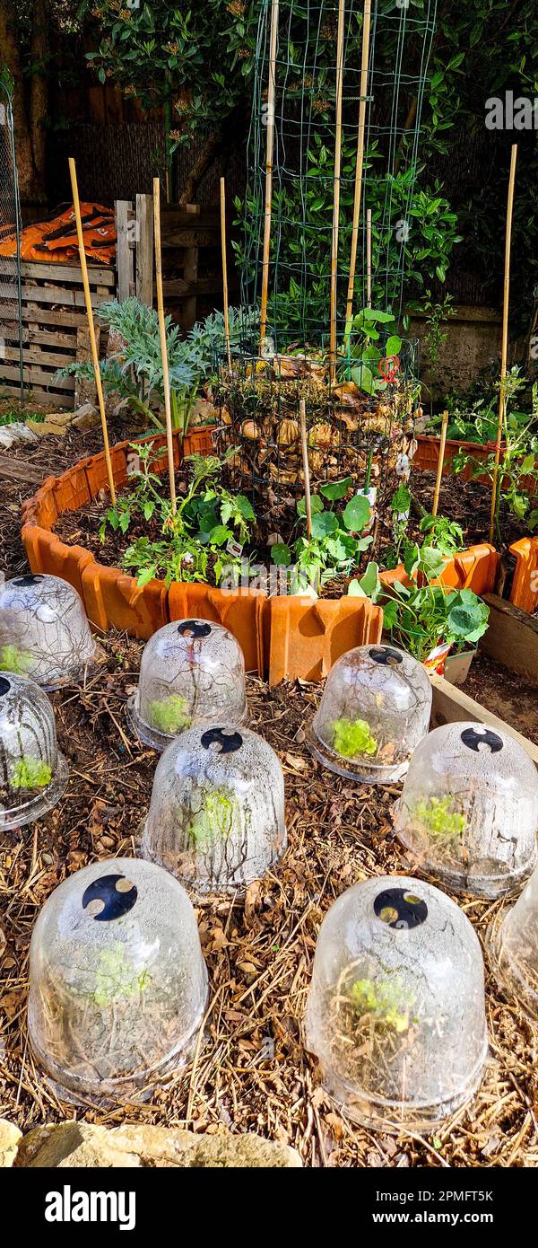 Early spring gardening, Bron, France Stock Photo - Alamy
