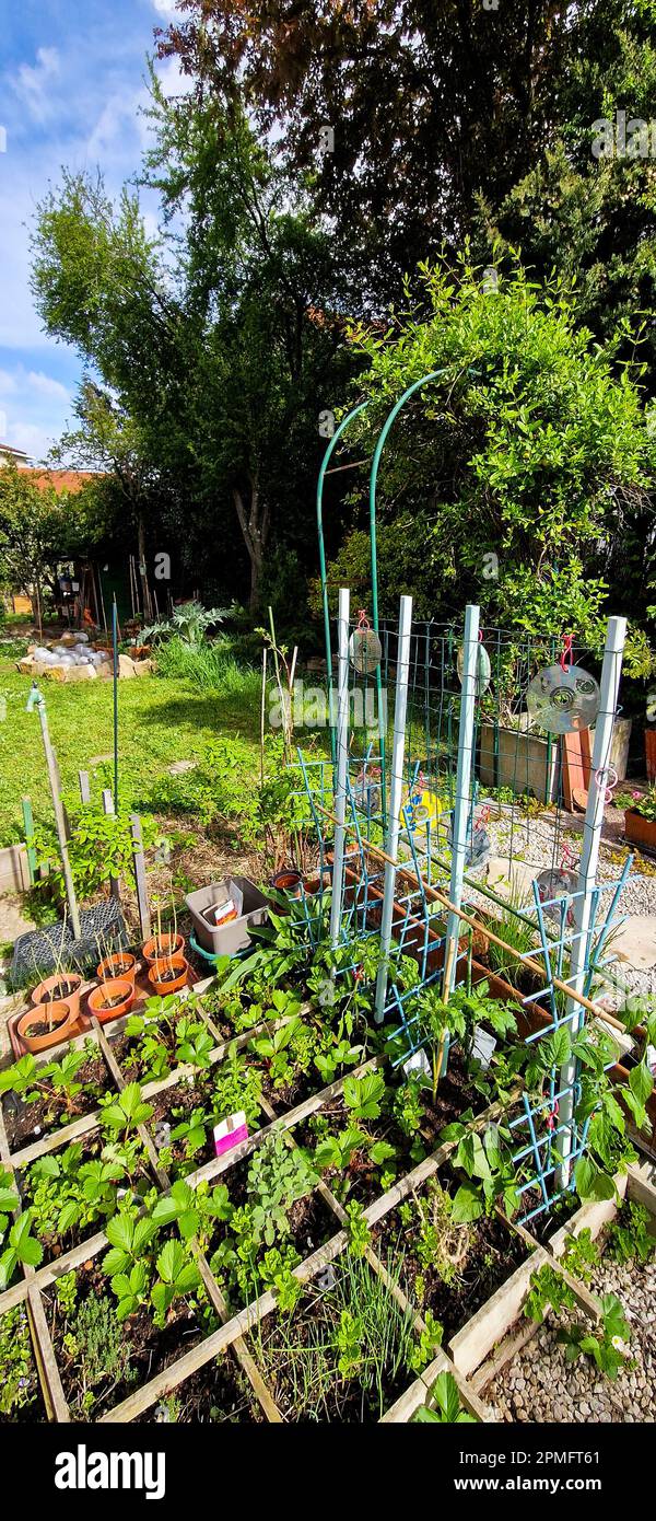 Early spring gardening, Bron, France Stock Photo - Alamy