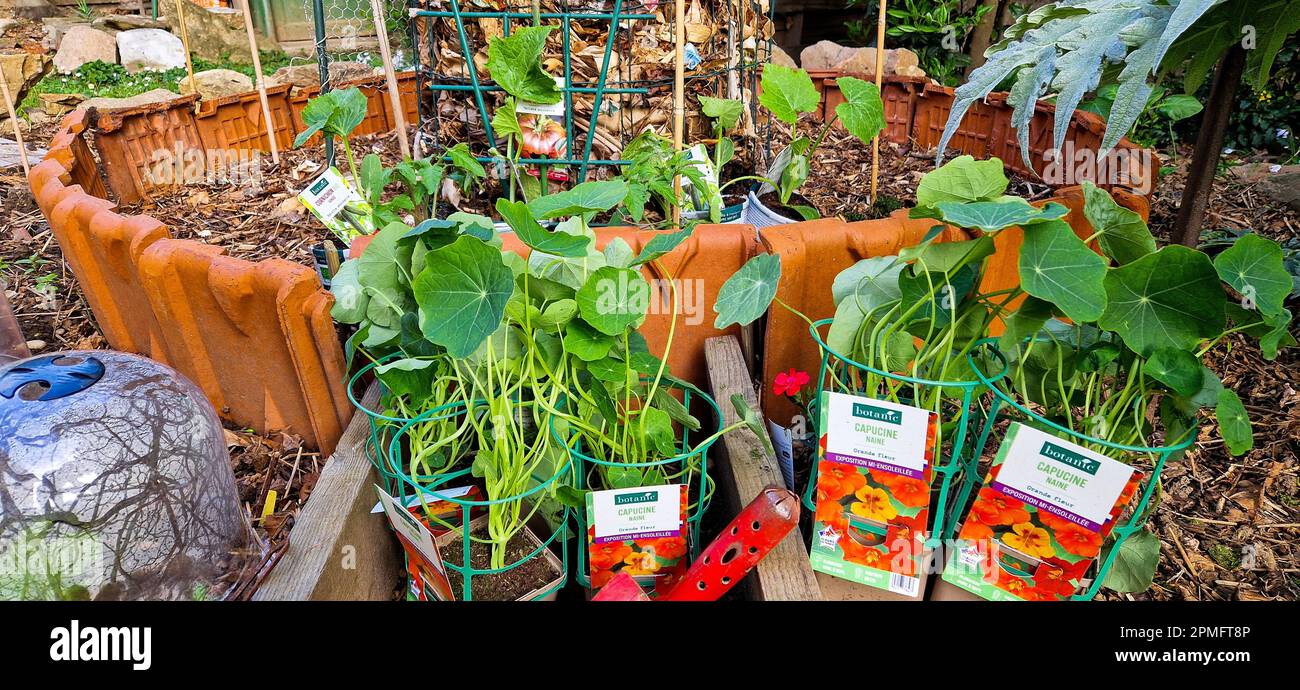 Early spring gardening, Bron, France Stock Photo - Alamy