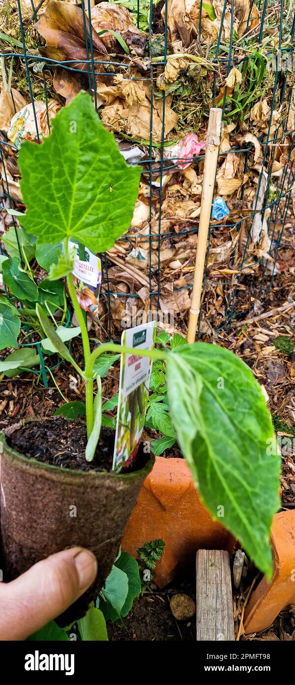 Gherkin weather spring hi-res stock photography and images - Alamy