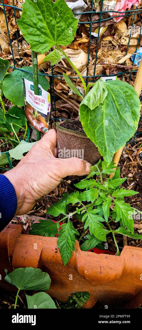Gherkin weather spring hi-res stock photography and images - Alamy