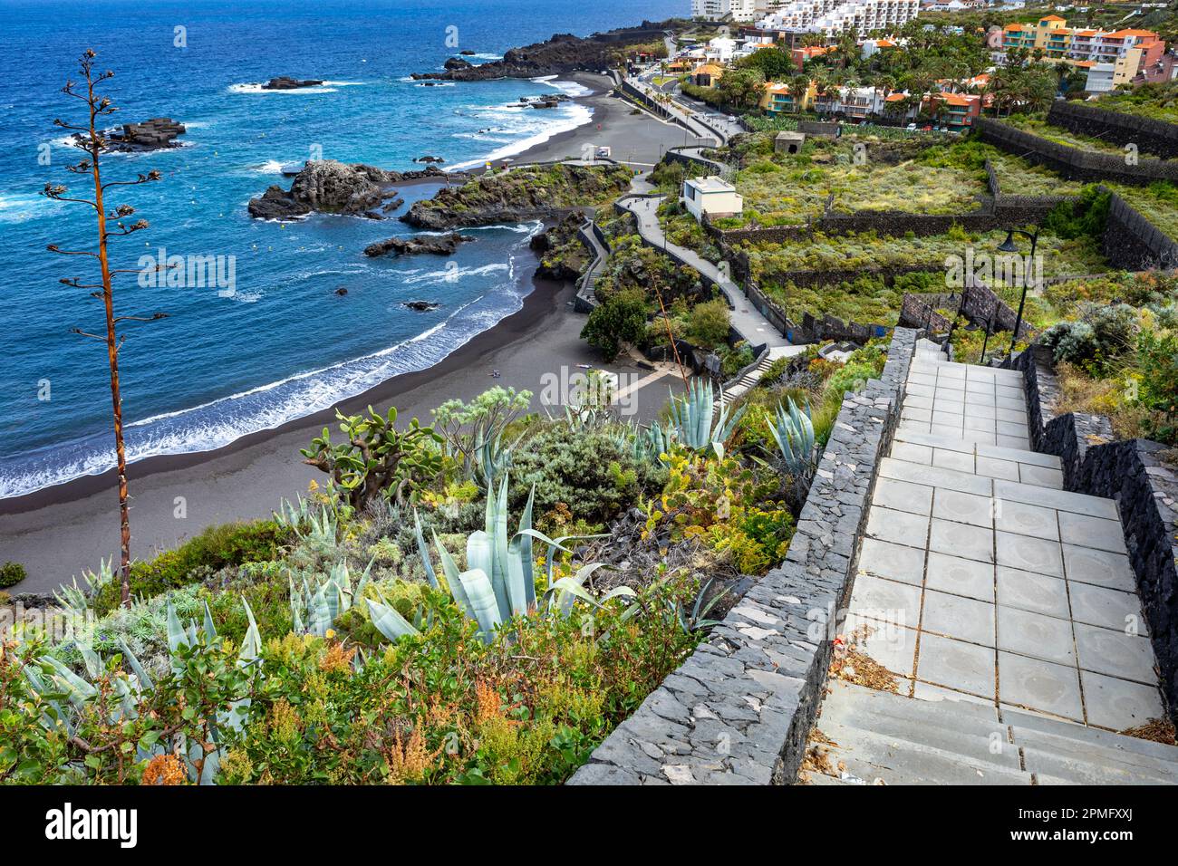 Tropical cactus garden and black sand beach at Los Cancajos. La Palma,  Canary Island, Spain Stock Photo - Alamy
