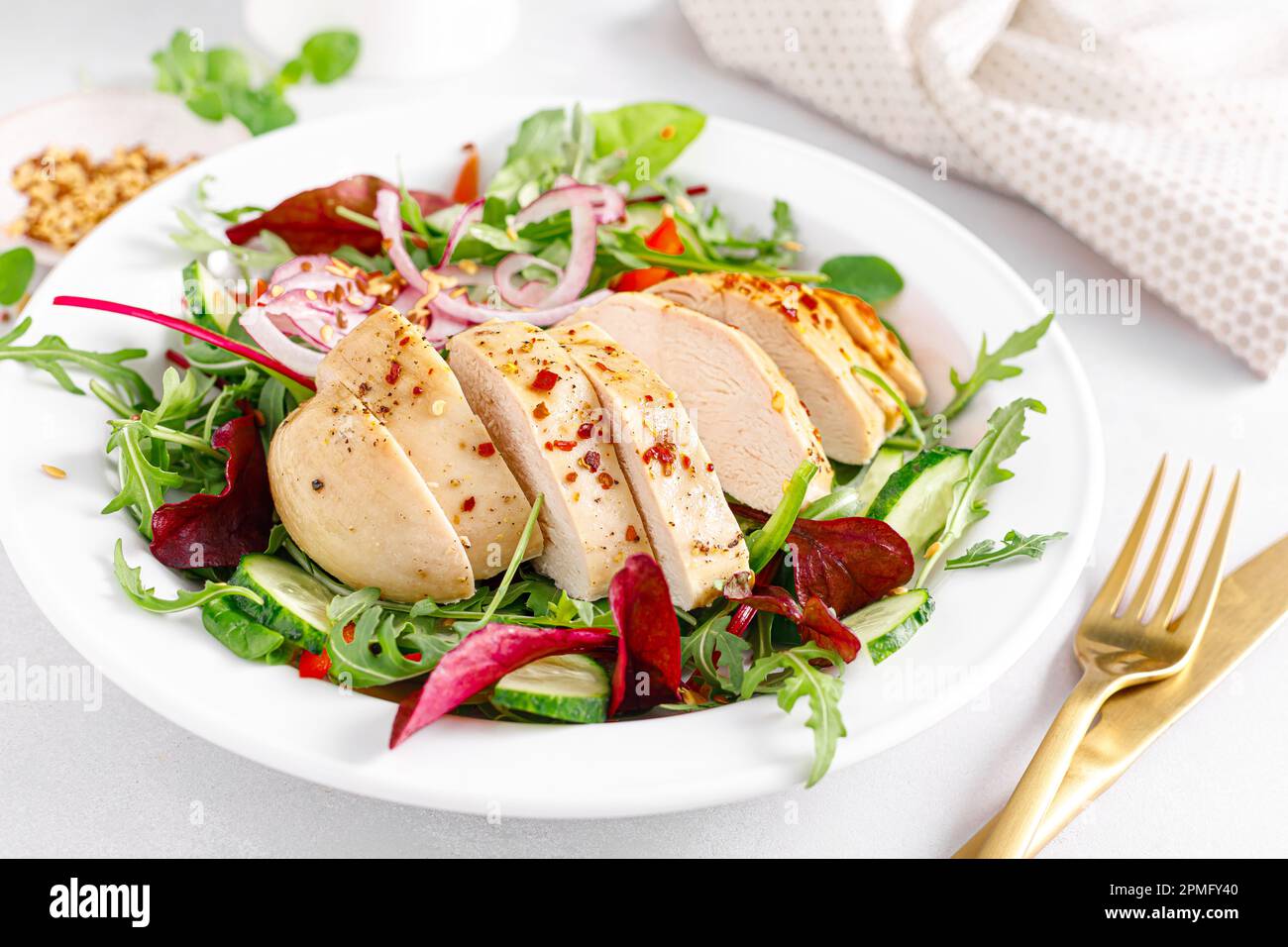 Chicken breast grilled and fresh vegetable salad Stock Photo