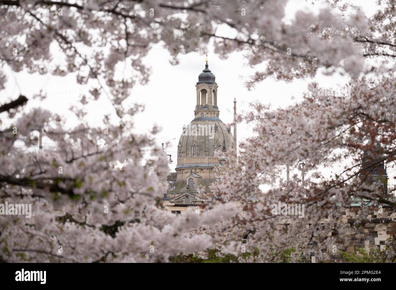 Frauenkirche Dresden 2023 Hi-res Stock Photography And Images - Alamy