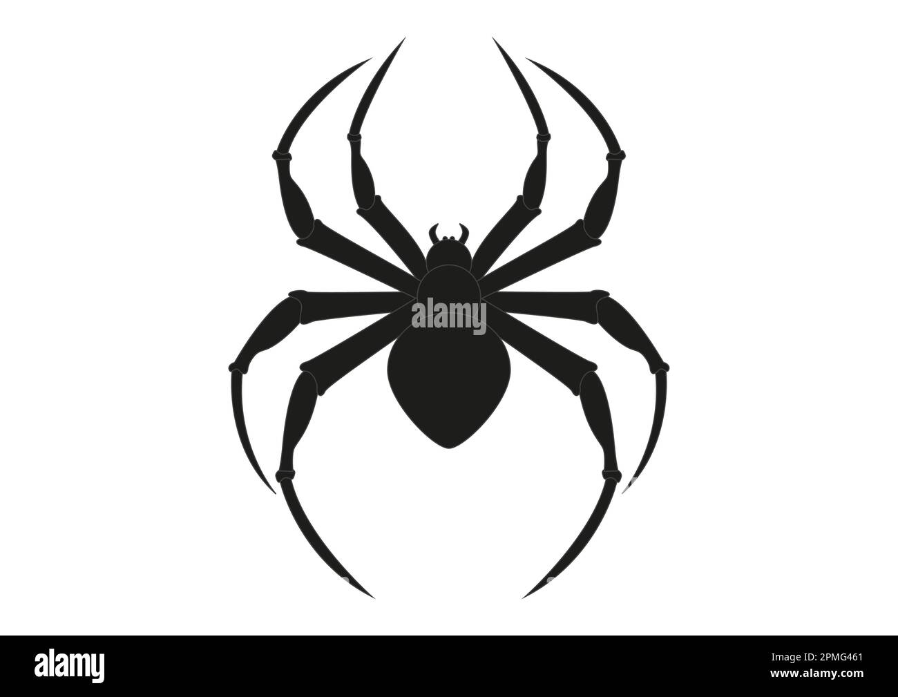 Black Spider Clipart. Arachnia. Illustration of black spider Stock Vector