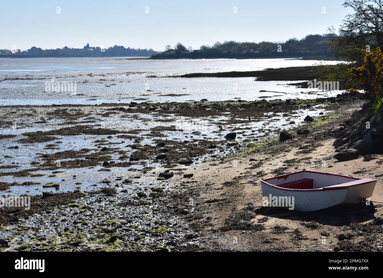 old boat at low tide, golf du morbihan Stock Photo Alamy