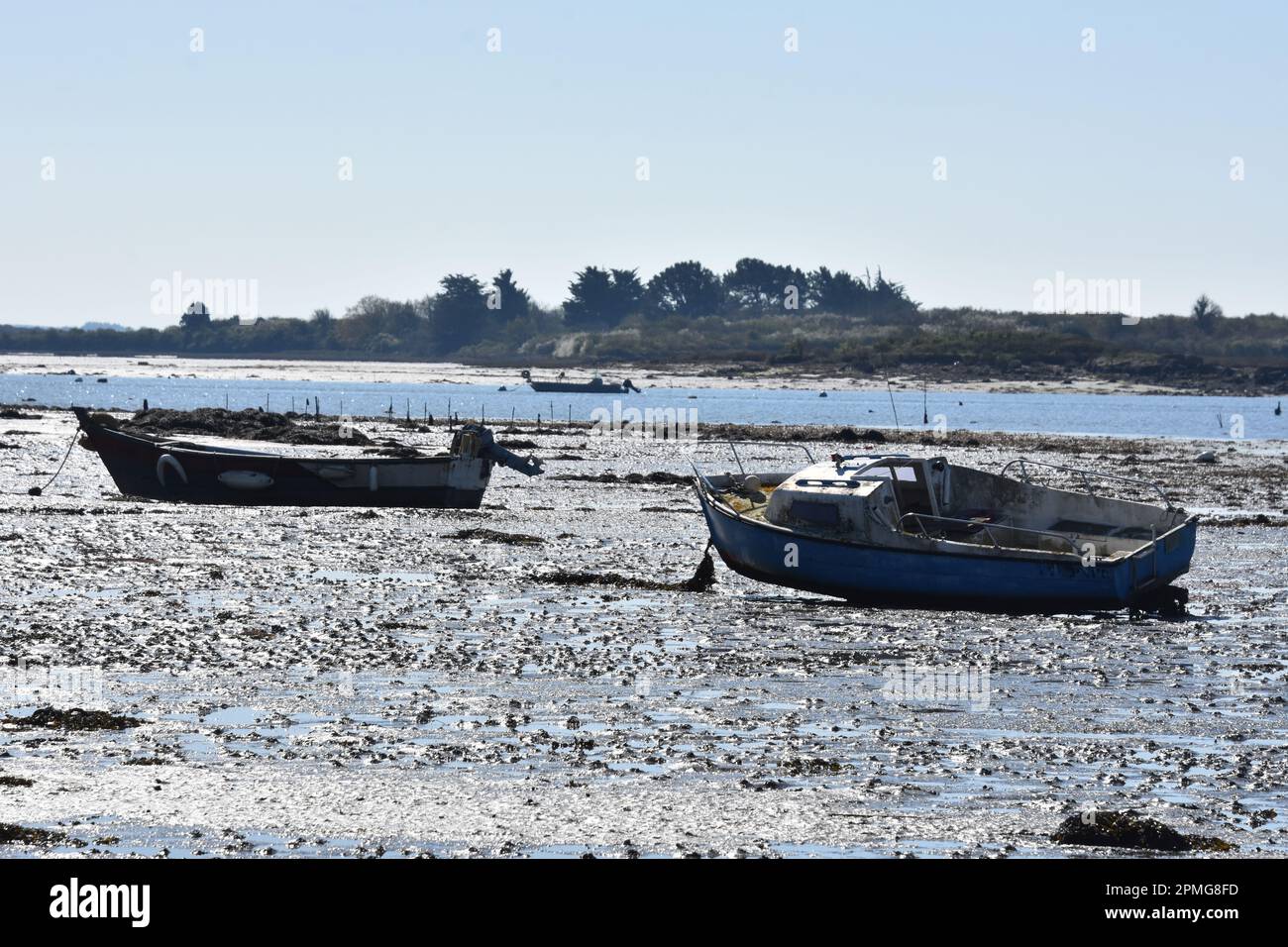 old boat at low tide, golf du morbihan Stock Photo Alamy