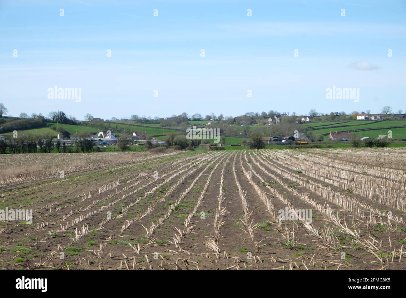April 2023 - After the harvest - empty field on an arable farm Stock ...