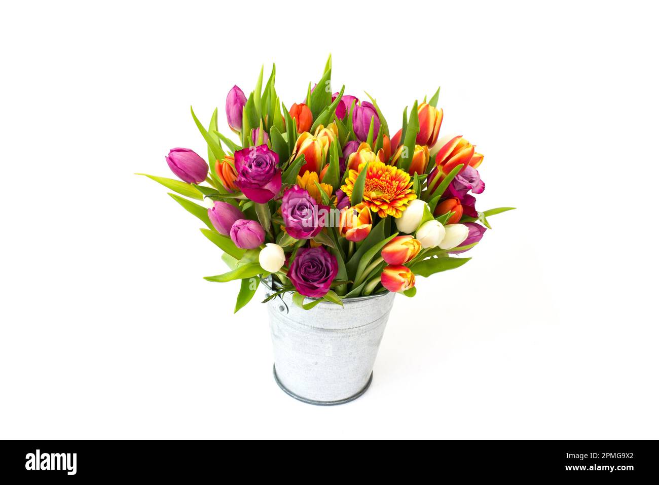 flowers in a bucket on white background Stock Photo - Alamy