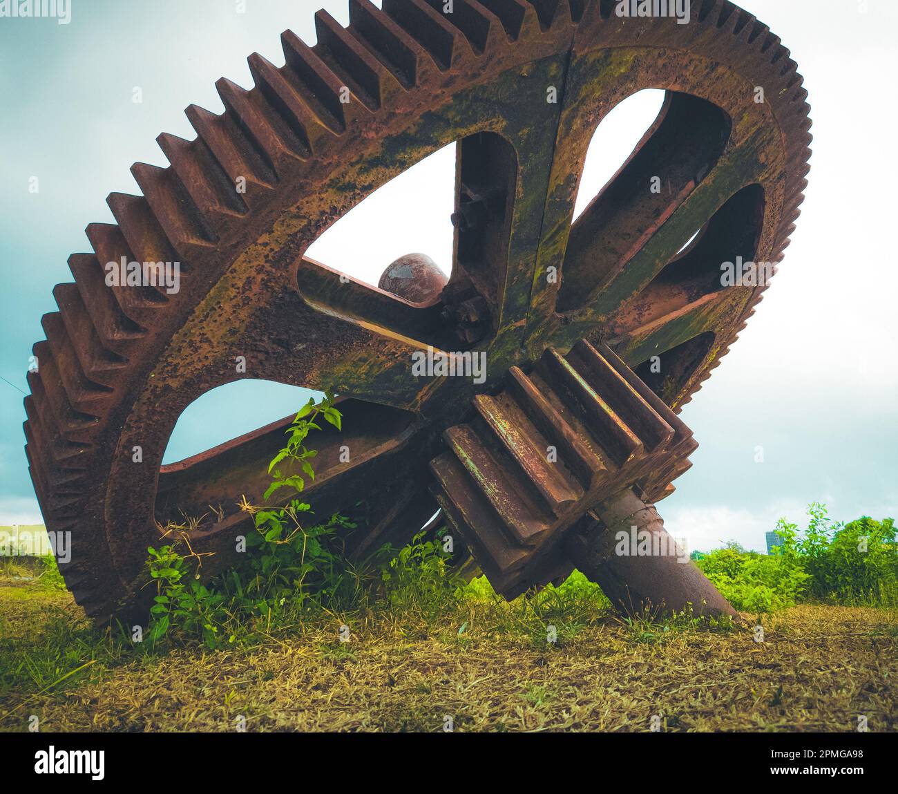 Old Rusted Wheel An old rusted gear wheel, surrounded by lush vegetation Stock Photo - Alamy