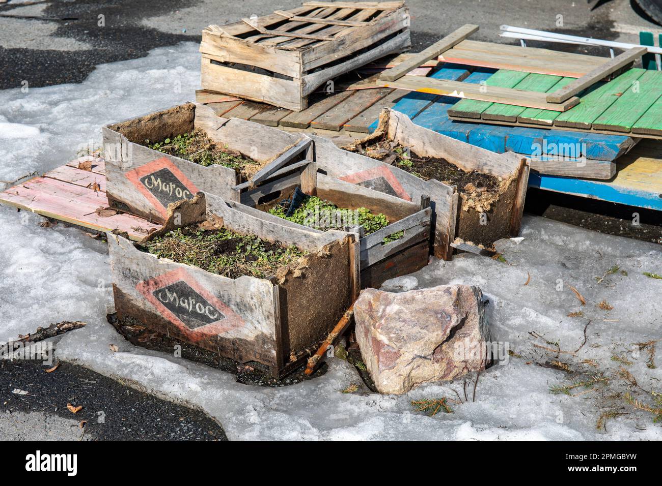 Soil filled and weathered wooden Maroc clementine boxes Stock Photo