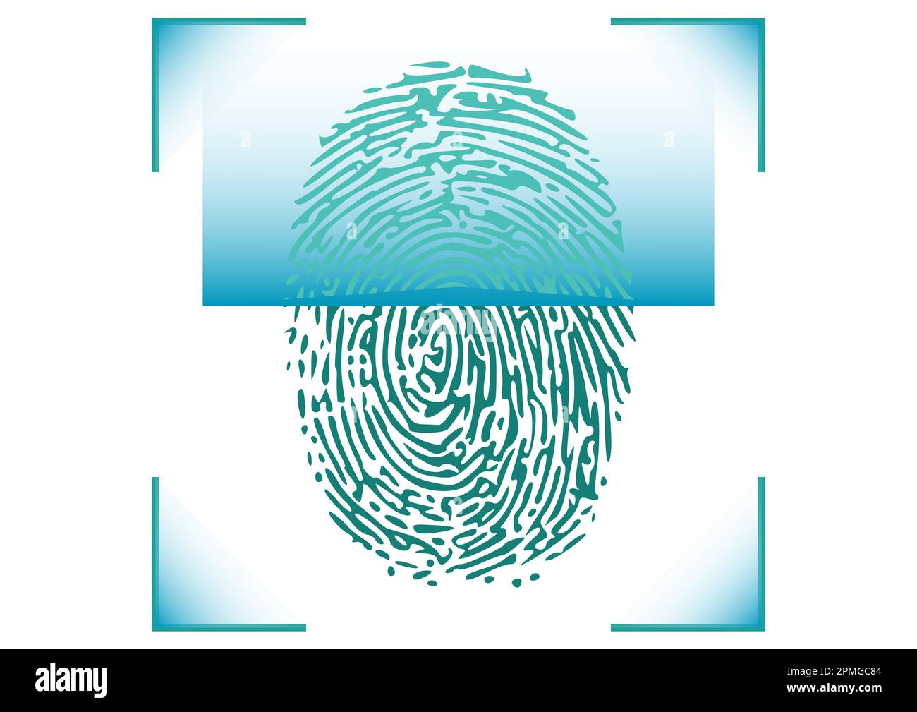 Blue Fingerprint identification symbol Stock Vector Image & Art - Alamy