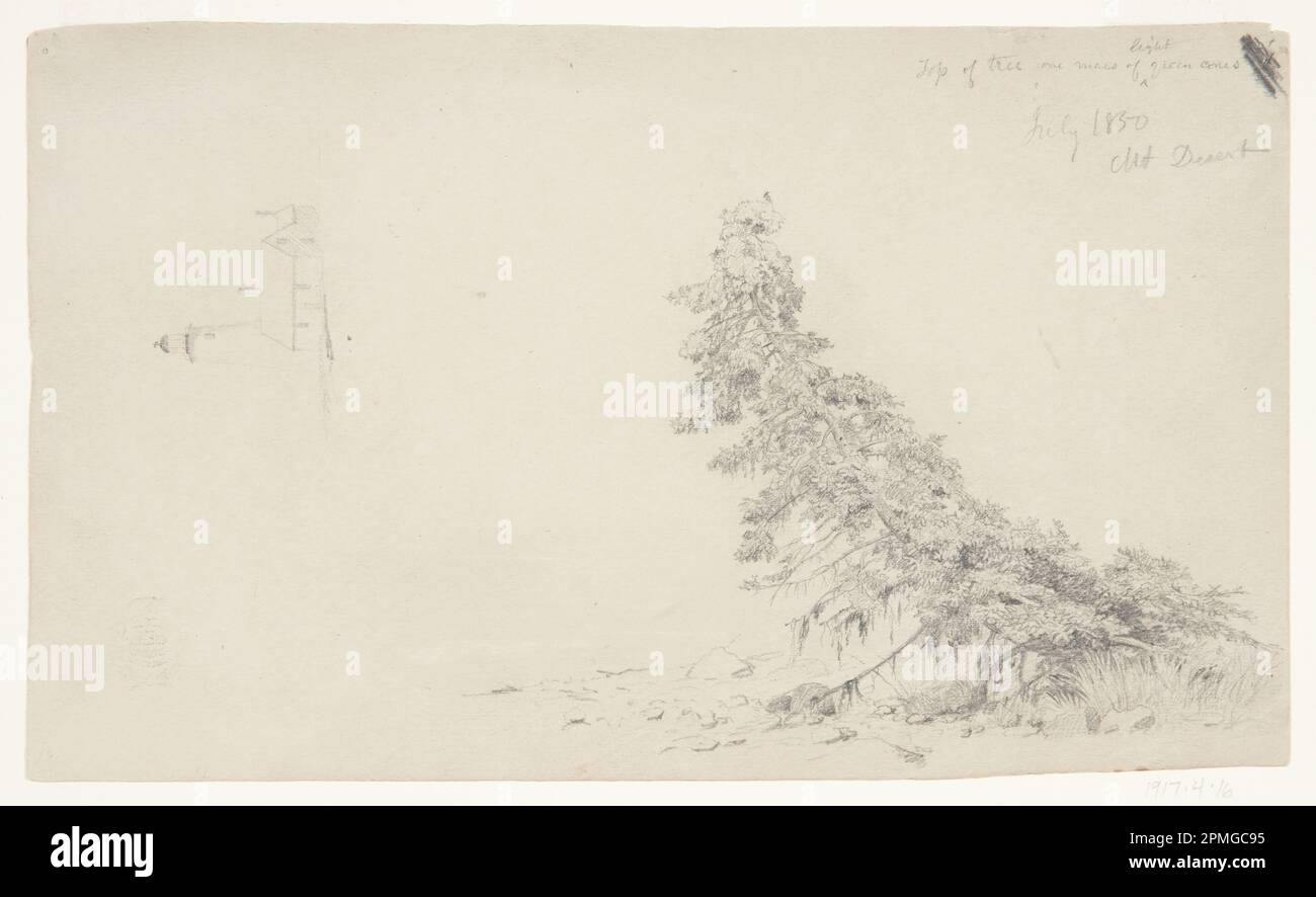 Drawing, Evergreen Tree Near the Shore with a Detail of the Lighthouse and a House, Mount Desert, Maine; Frederic Edwin Church (American, 1826–1900); USA; black and white crayon on light olivish paper; Sheet: 16.5 x 27.5 cm (6 1/2 x 10 13/16 in.) Stock Photo