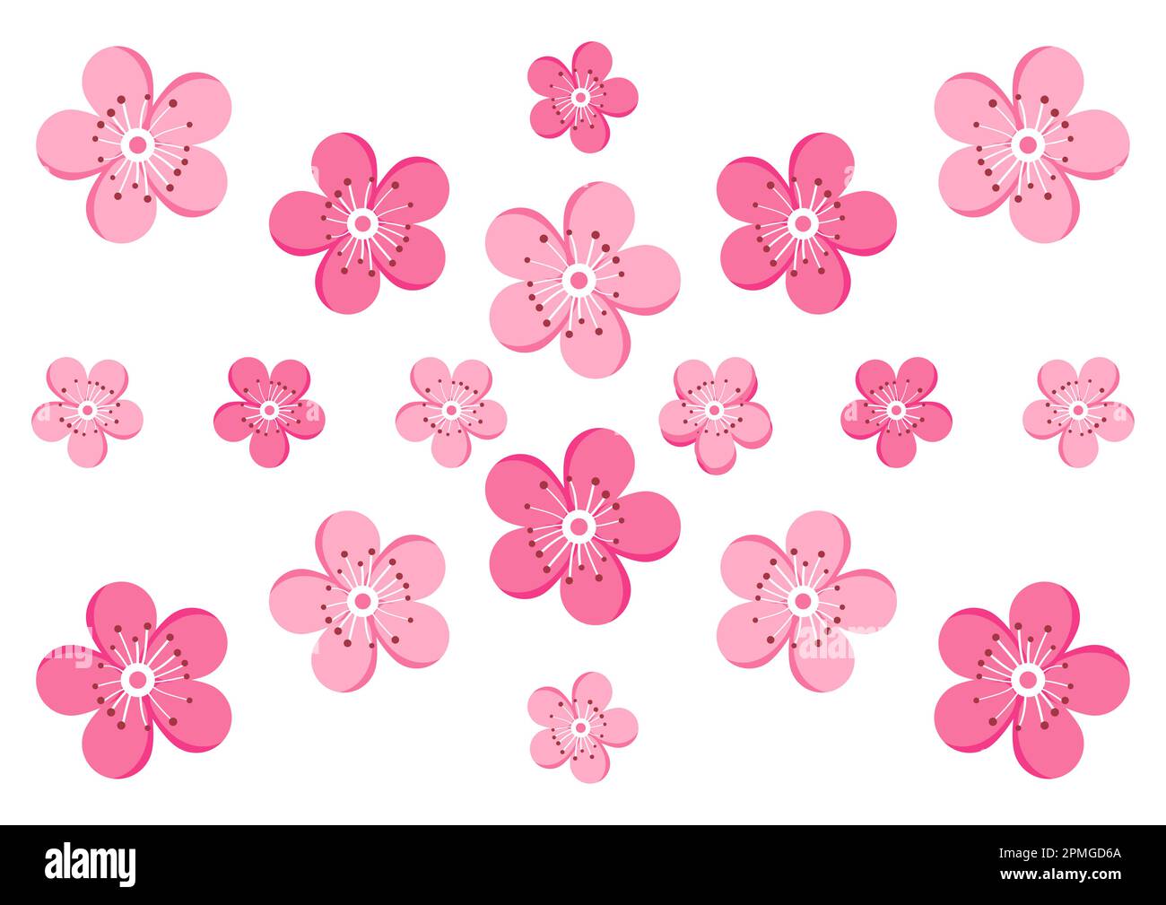 Cherry blossom decoration on white background vector Stock Vector