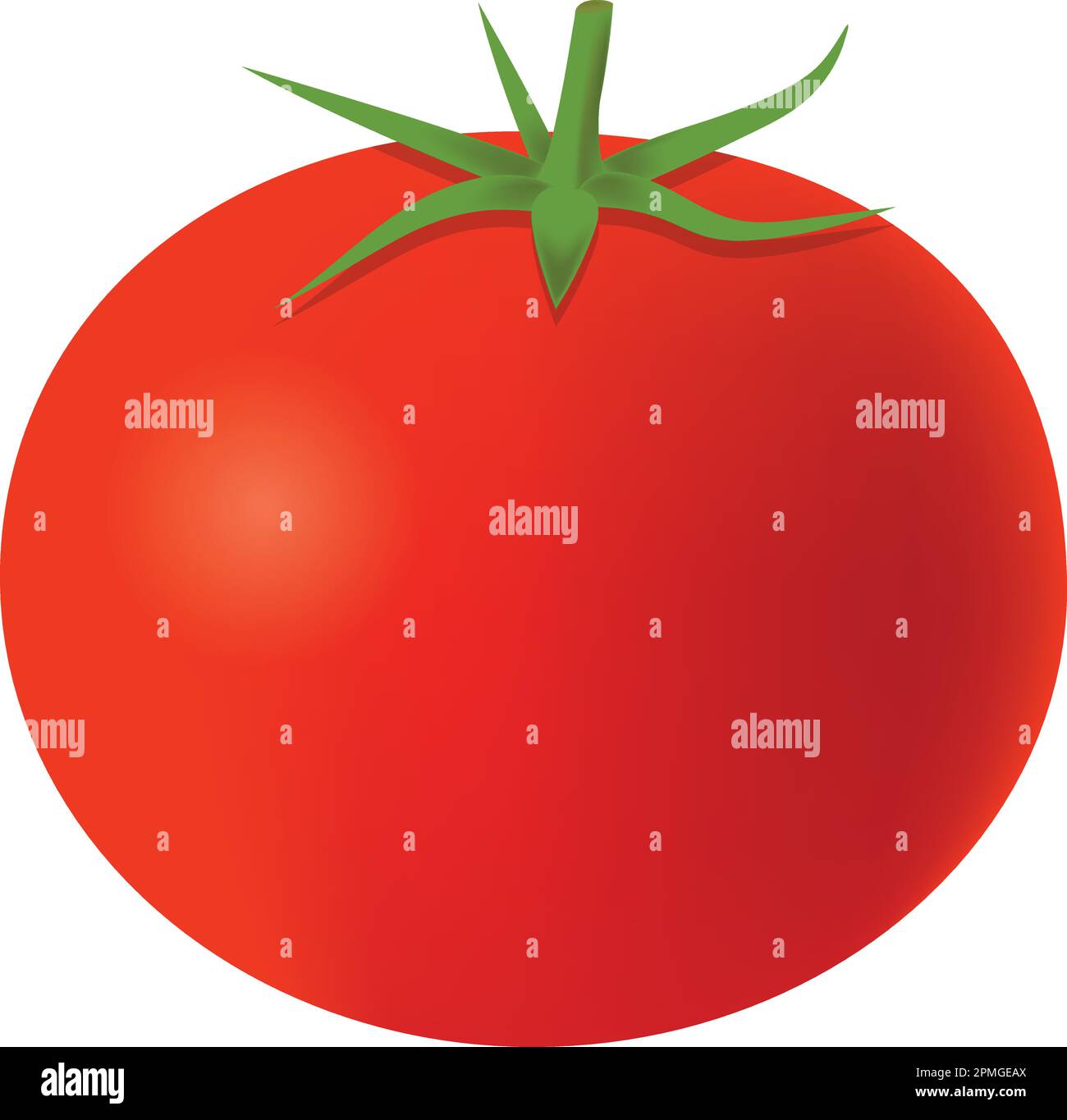 Clipart vector tomato stock vector image art alamy