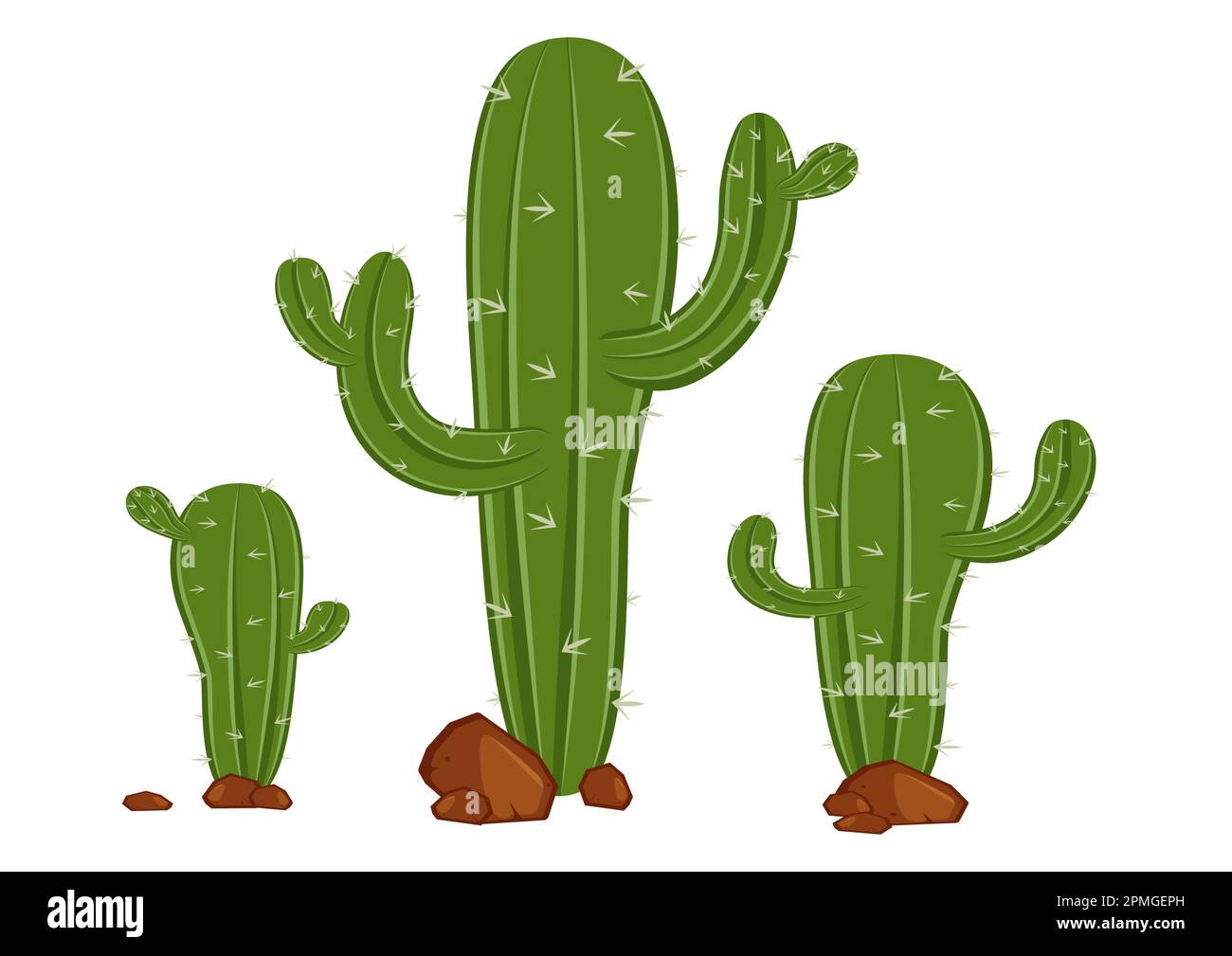 Different Types Of Cactus In Flat Style Vector Stock Vector