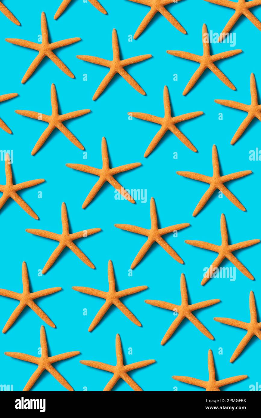 some orange dry starfish forming a mosaic on a blue background Stock Photo