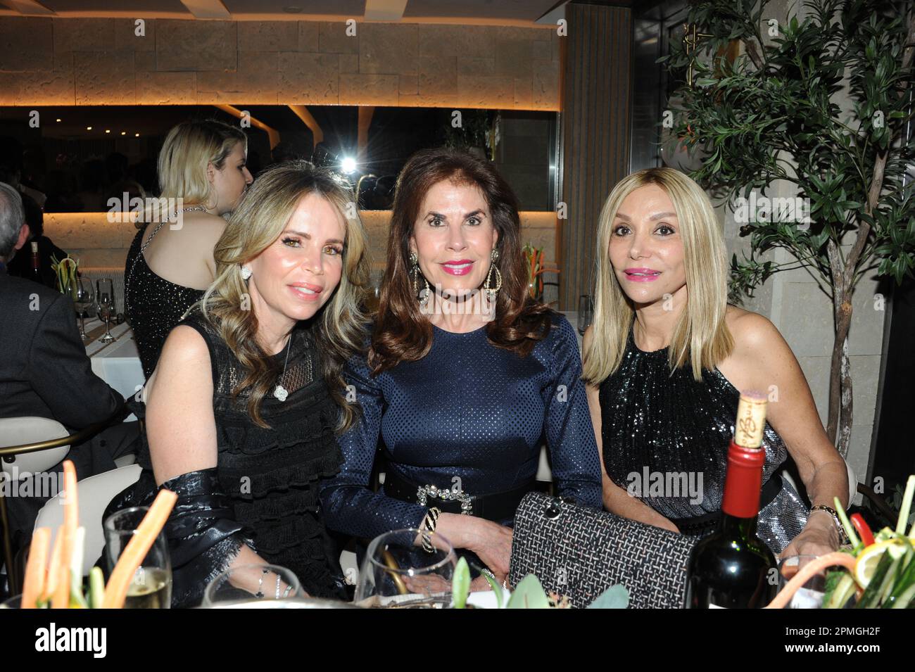 Kayla Rockefeller jewelry launch with PARK Magazine NY, with Julia Haart, Isabelle Bscher, Couri Hay, Elton Ilirjani, Nadja Sayej, Alina Mehrle Stock Photo