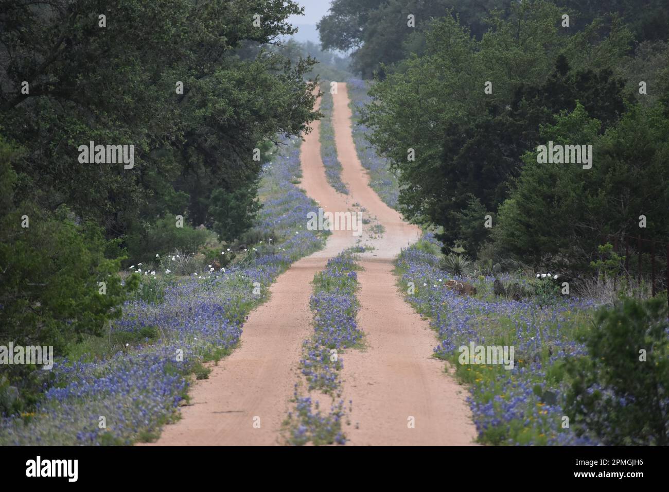 Bonnet slope hi-res stock photography and images - Alamy