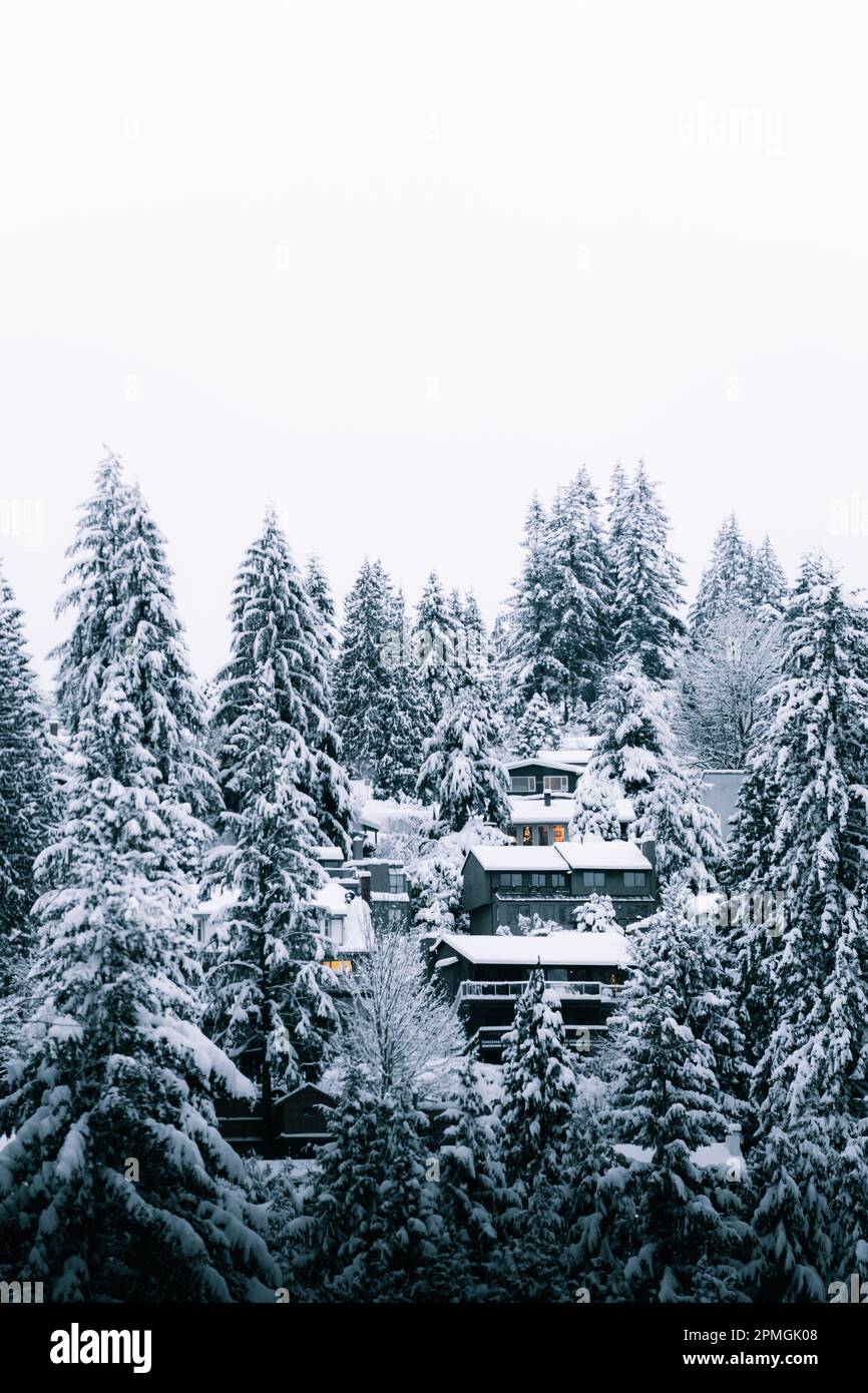 A cozy winter cottage situated in the snowy mountains, surrounded by ...