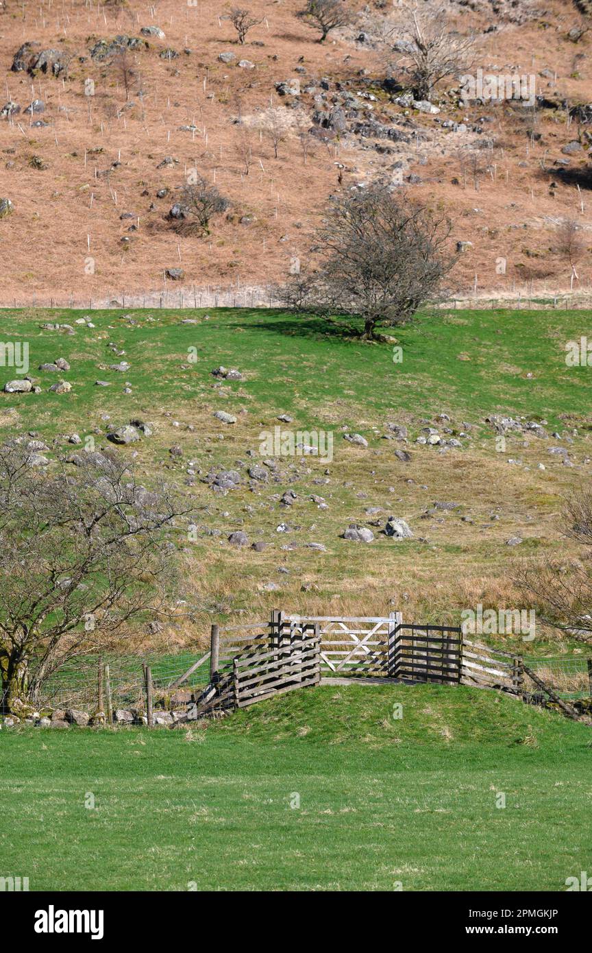 Typical Lake District landscape. Small bridge with a gate over a stream. Northern Lake District near Bassenthwaite, Cumbria, UK Stock Photo