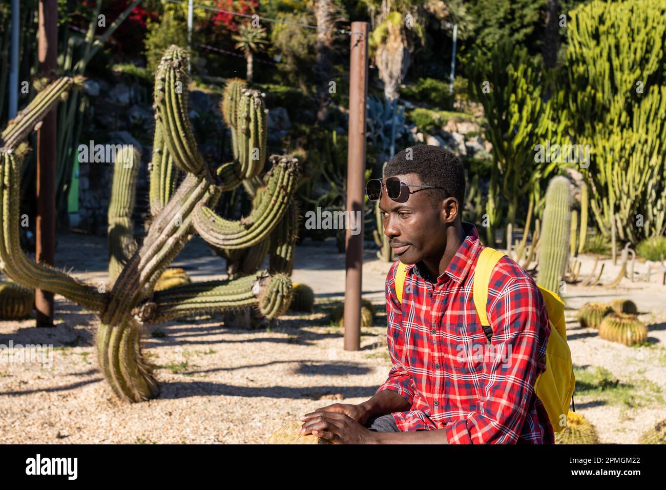 Man garden attractive hi-res stock photography and images - Alamy