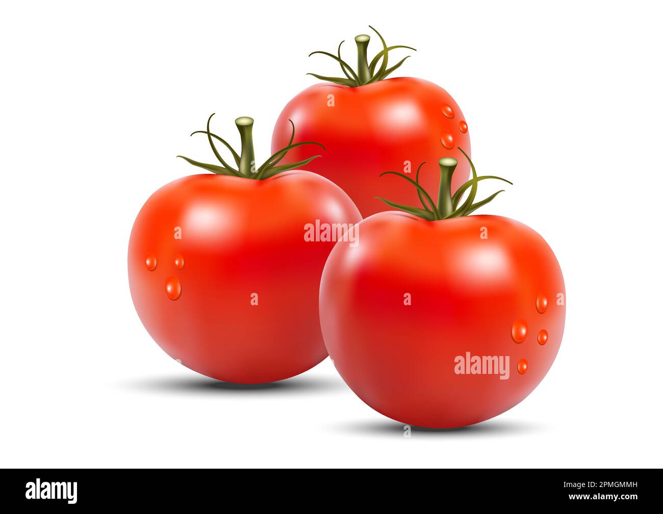 Realistic Vivid Fresh Tomatoes Vector Design Stock Vector