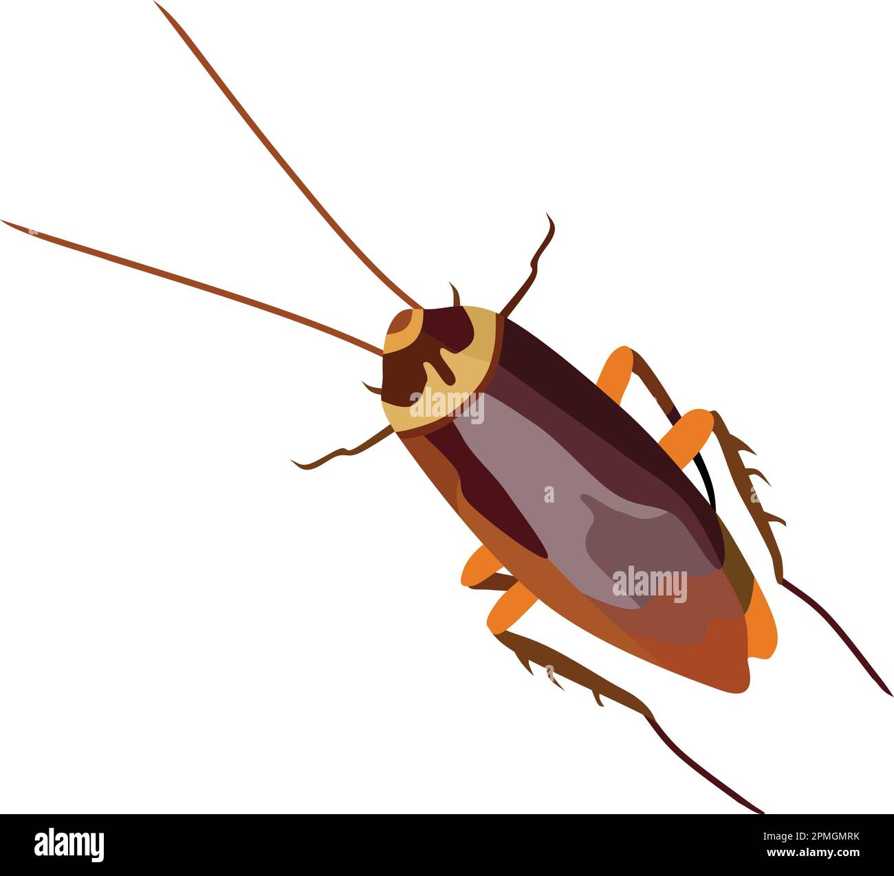 Cockroach Insect Animal Vector Stock Vector Image & Art - Alamy