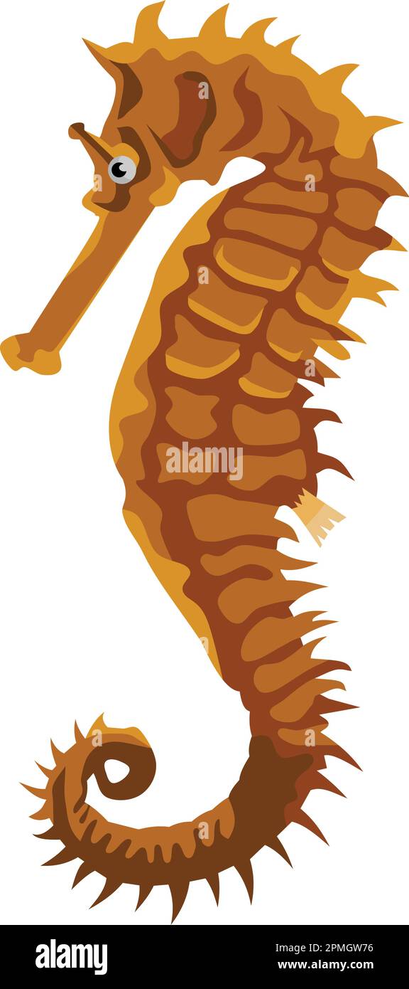 Sea Horse Marine Animal Vector Stock Vector Image & Art Alamy