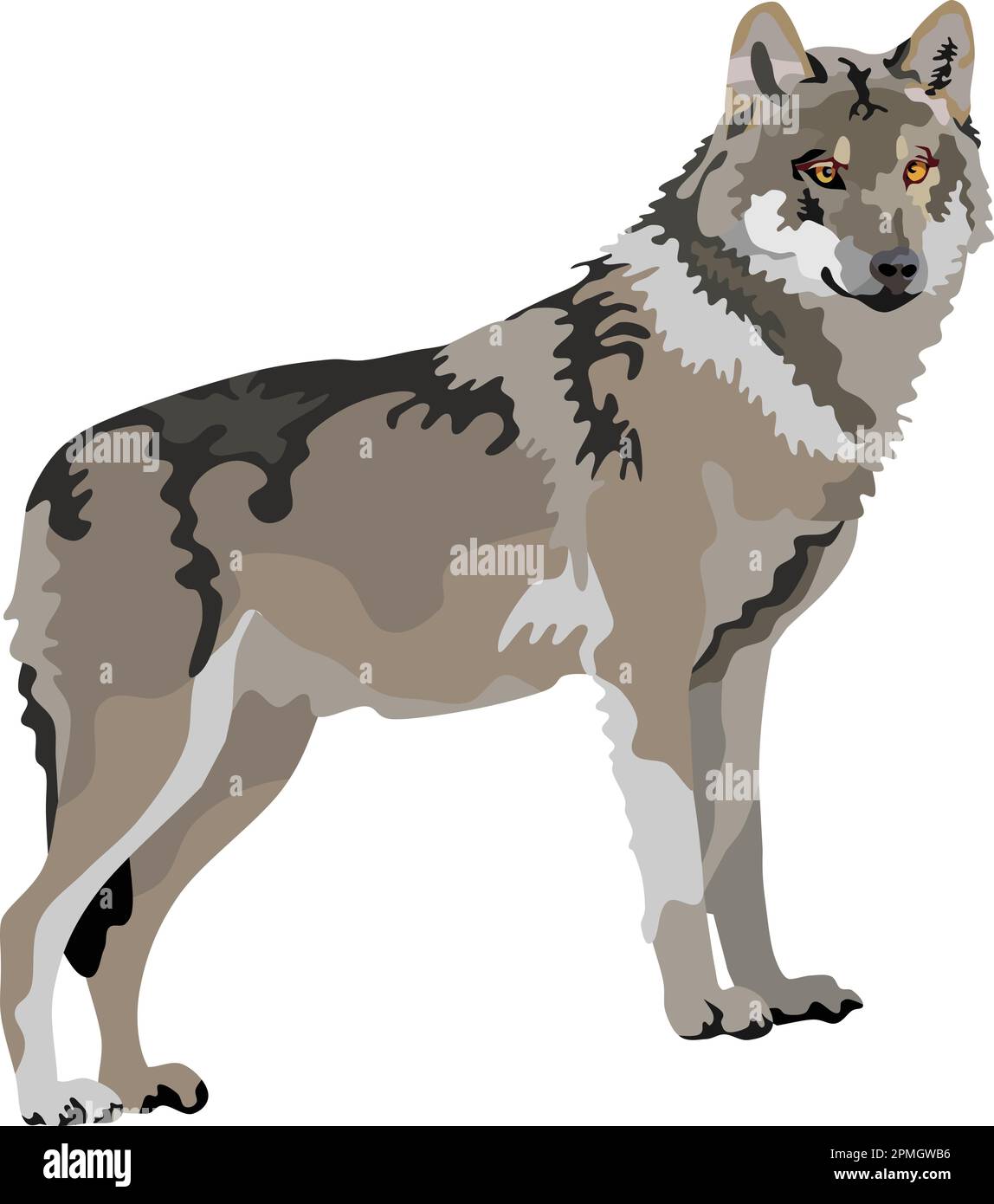 Wolf Mammal Animal Vector Stock Vector