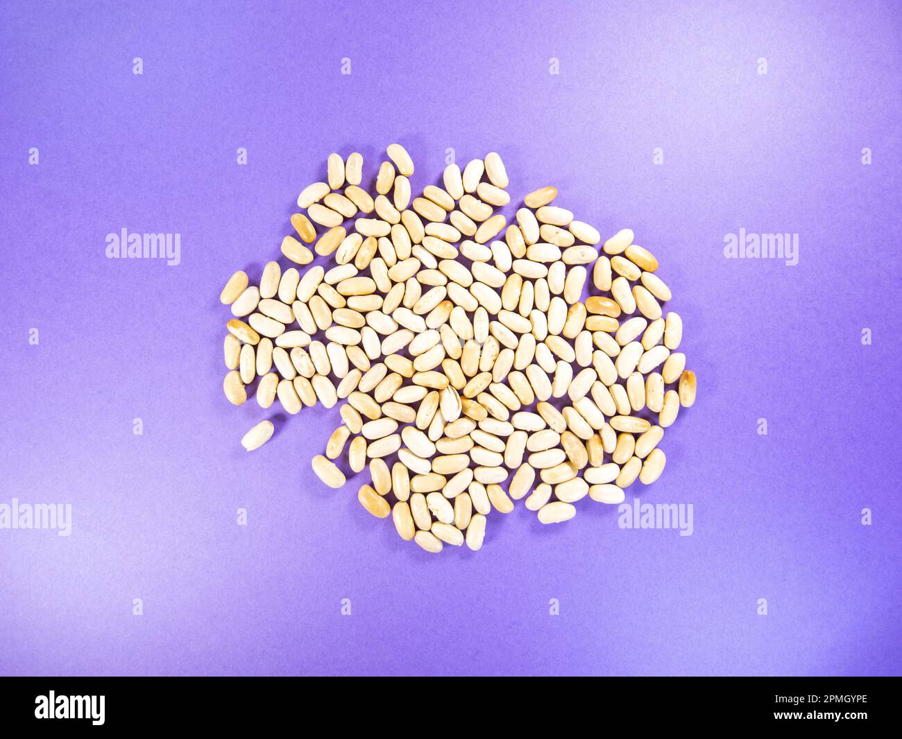 pile of used (for blind baking) navy bean, haricot, pearl haricot bean isolated on a purple background Stock Photo