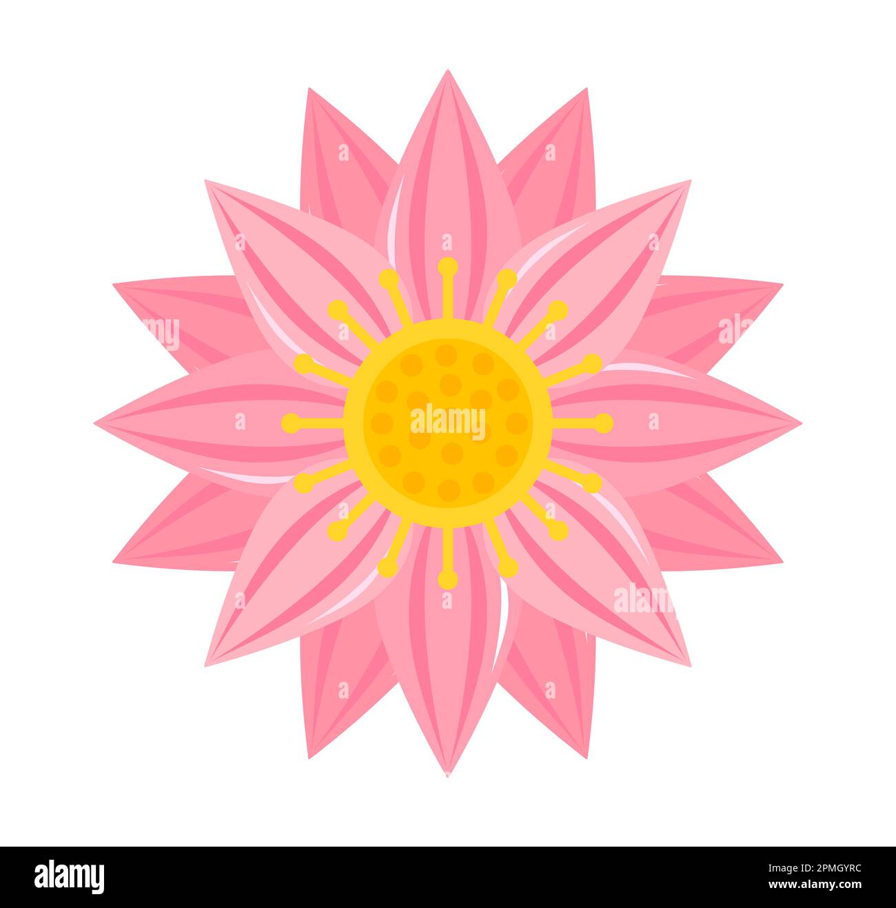 Pink lotus flower isolated on white background. Vector illustration ...
