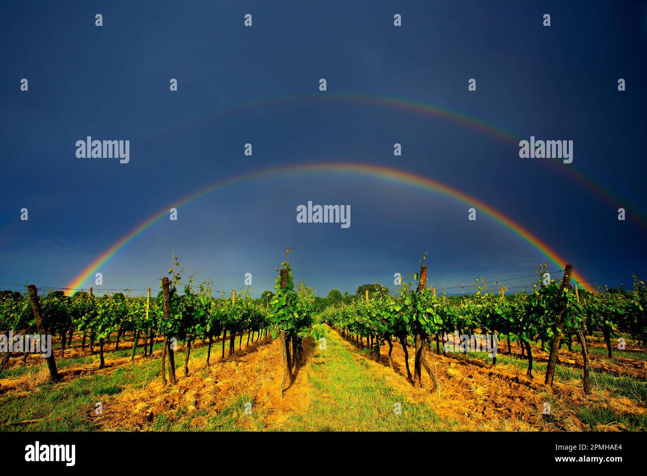 Double rainbow in the vineyards of Alsace, France Stock Photo Alamy