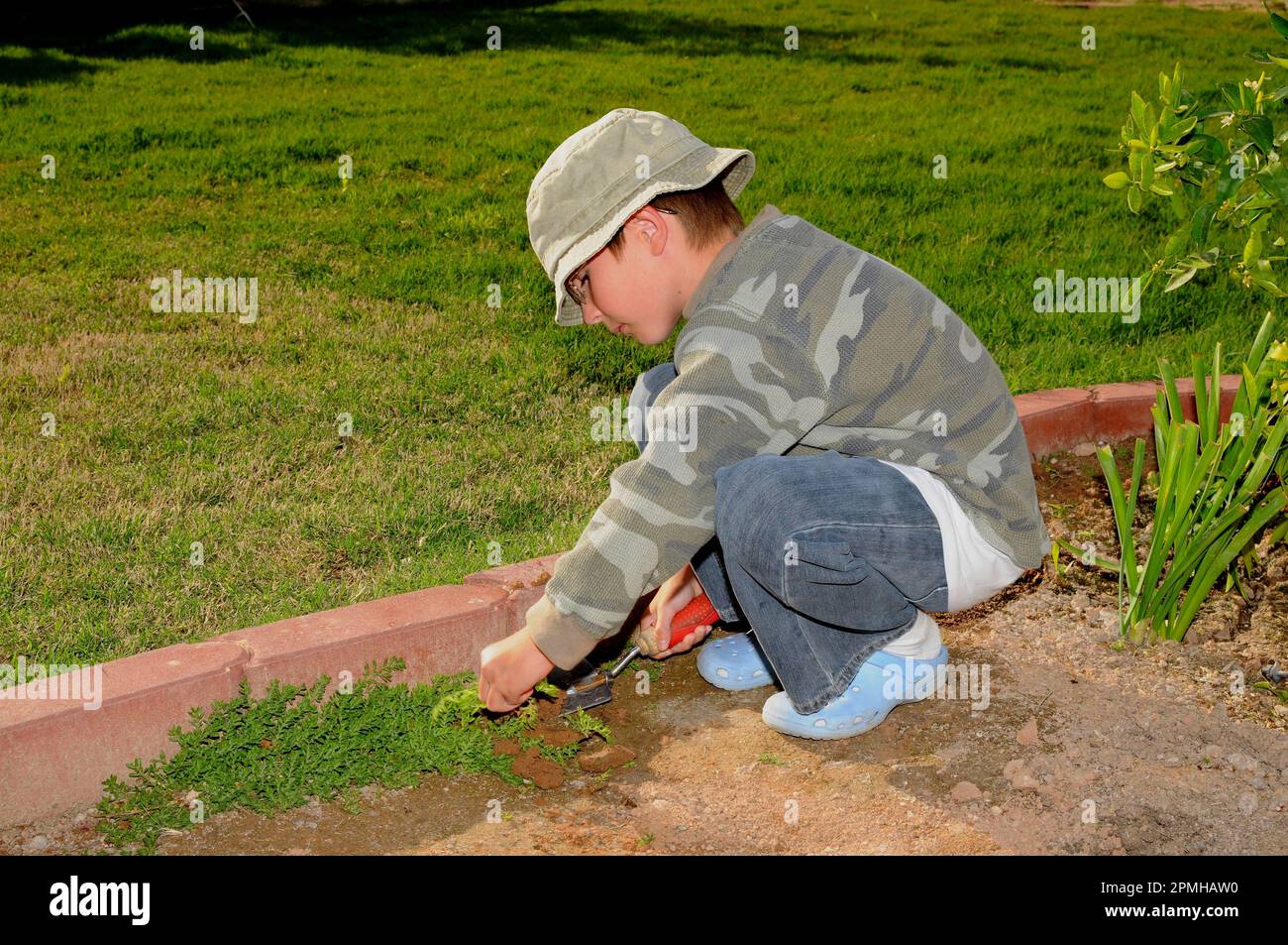 Young boy pulling weeds in a garden Stock Photo - Alamy