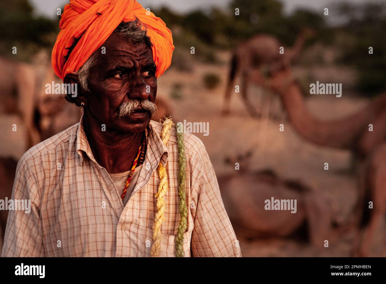 Jaisalmer desert town life, India Stock Photo