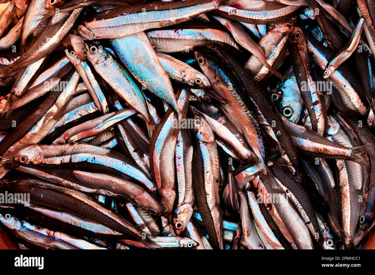 Fish market, Mkokotoni, Zanzibar, Tanzania, East Africa, Africa Stock