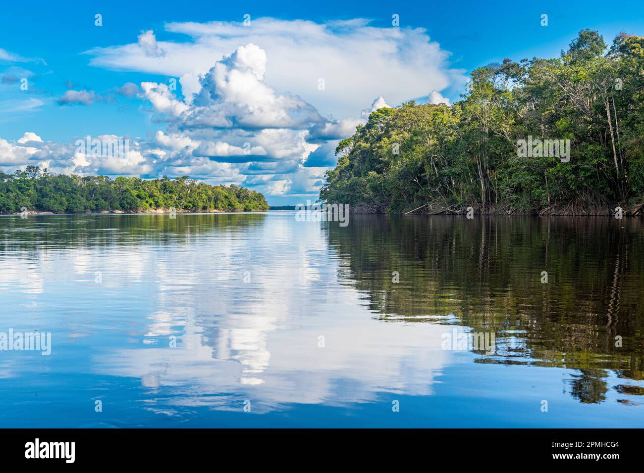 Cloud forest venezuela hi-res stock photography and images - Alamy