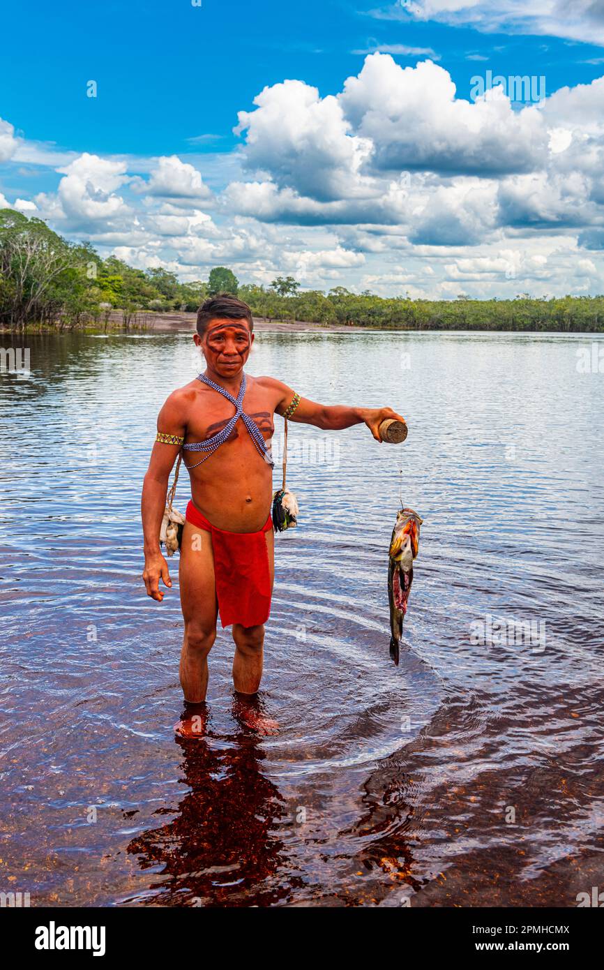 Pheasant fish caught by a Yanomami man, southern Venezuela, South America Stock Photo