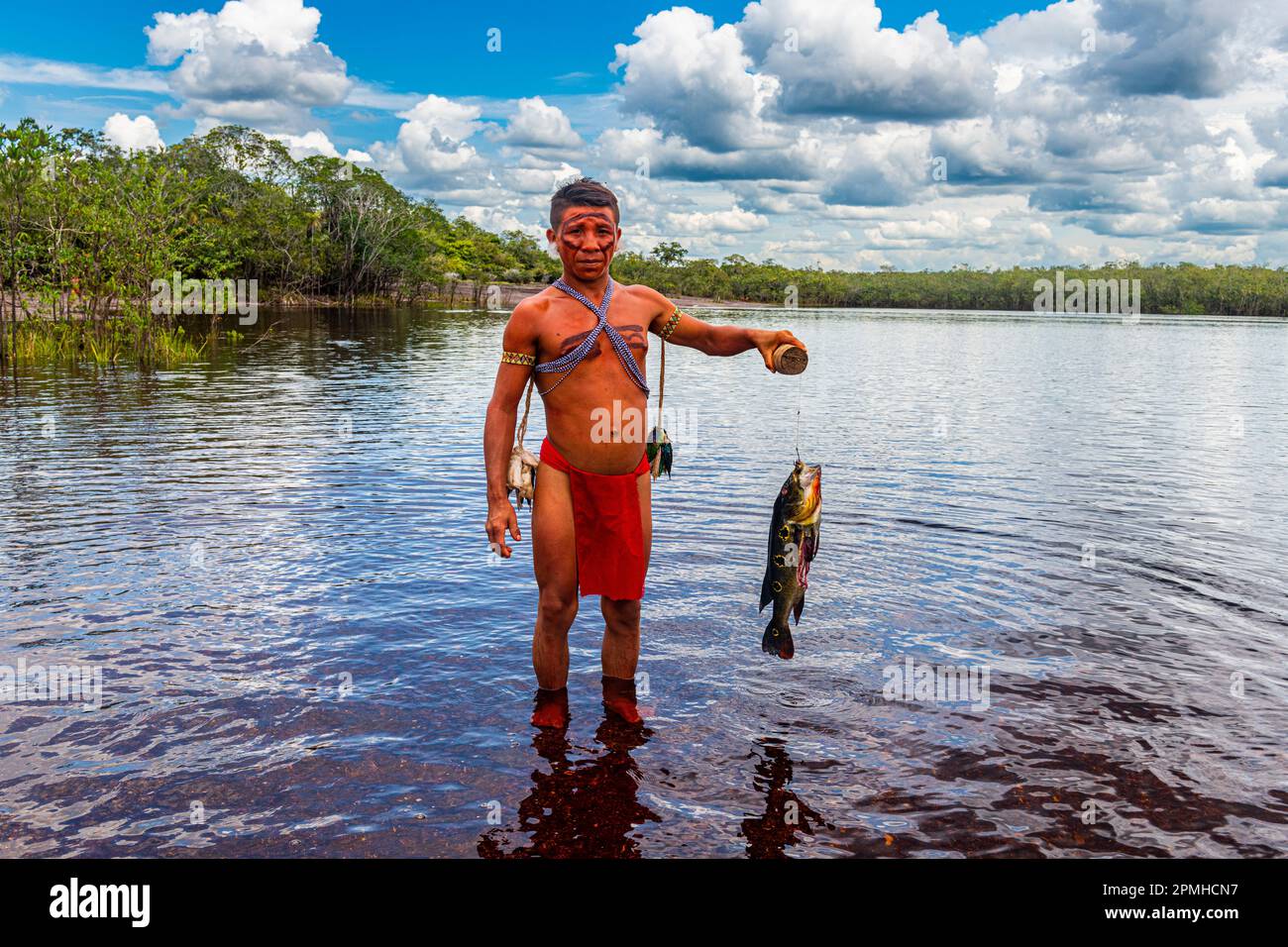 Pheasant fish caught by a Yanomami man, southern Venezuela, South America Stock Photo
