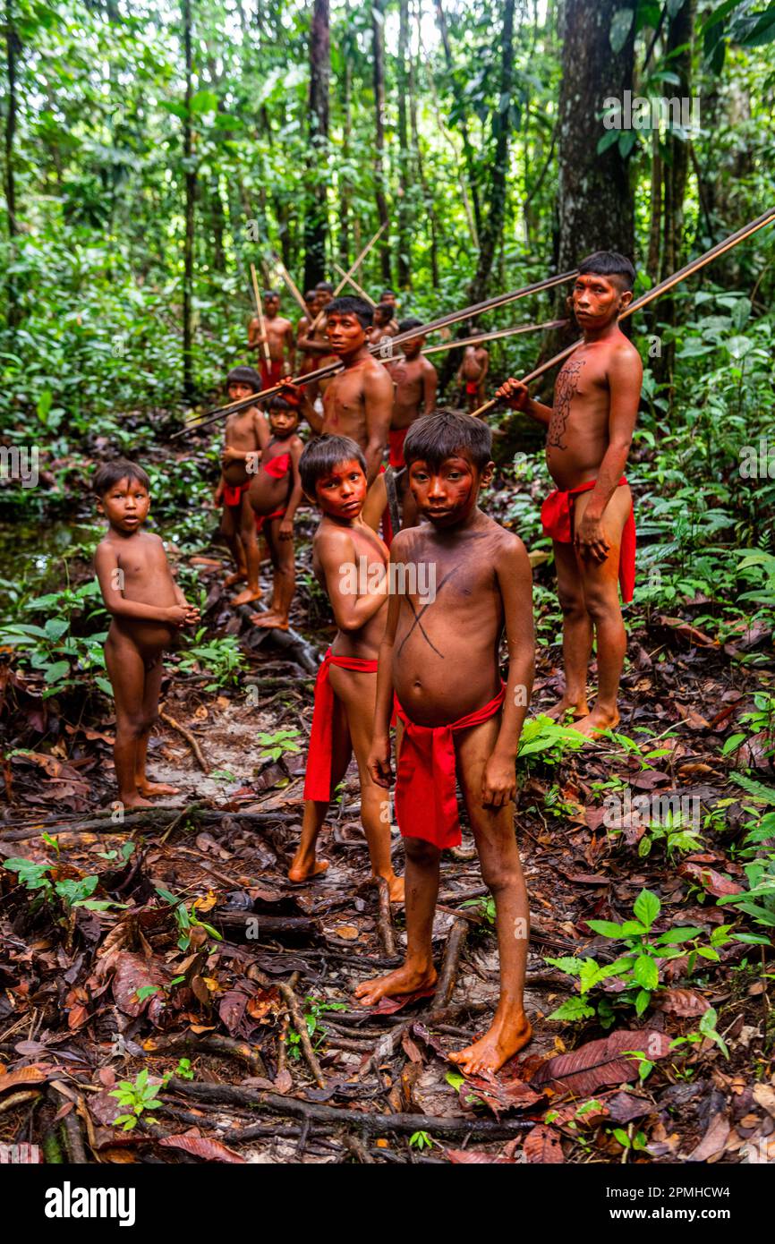 Yanomami tribe walking through the jungle, southern Venezuela, South America Stock Photo