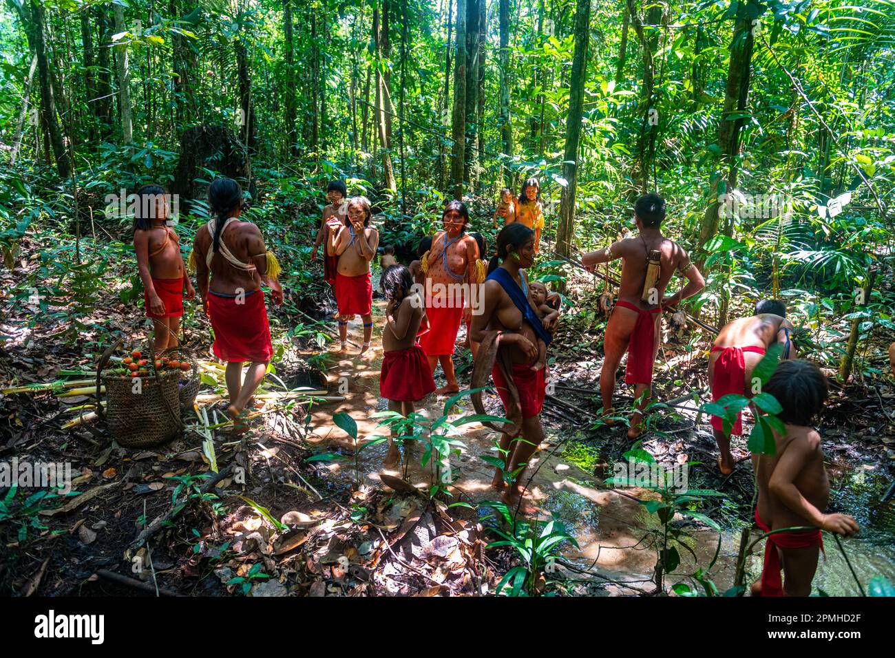 Women from the Yanomami tribe standing in the jungle, southern Venezuela, South America Stock Photo