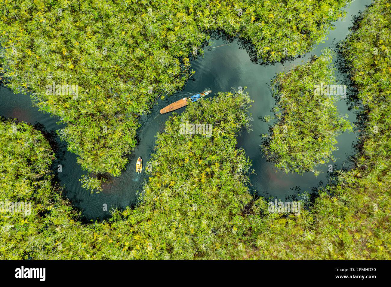 Aerial view of boat crossing through the deep jungle, Yanomami tribe, southern Venezuela, South America Stock Photo