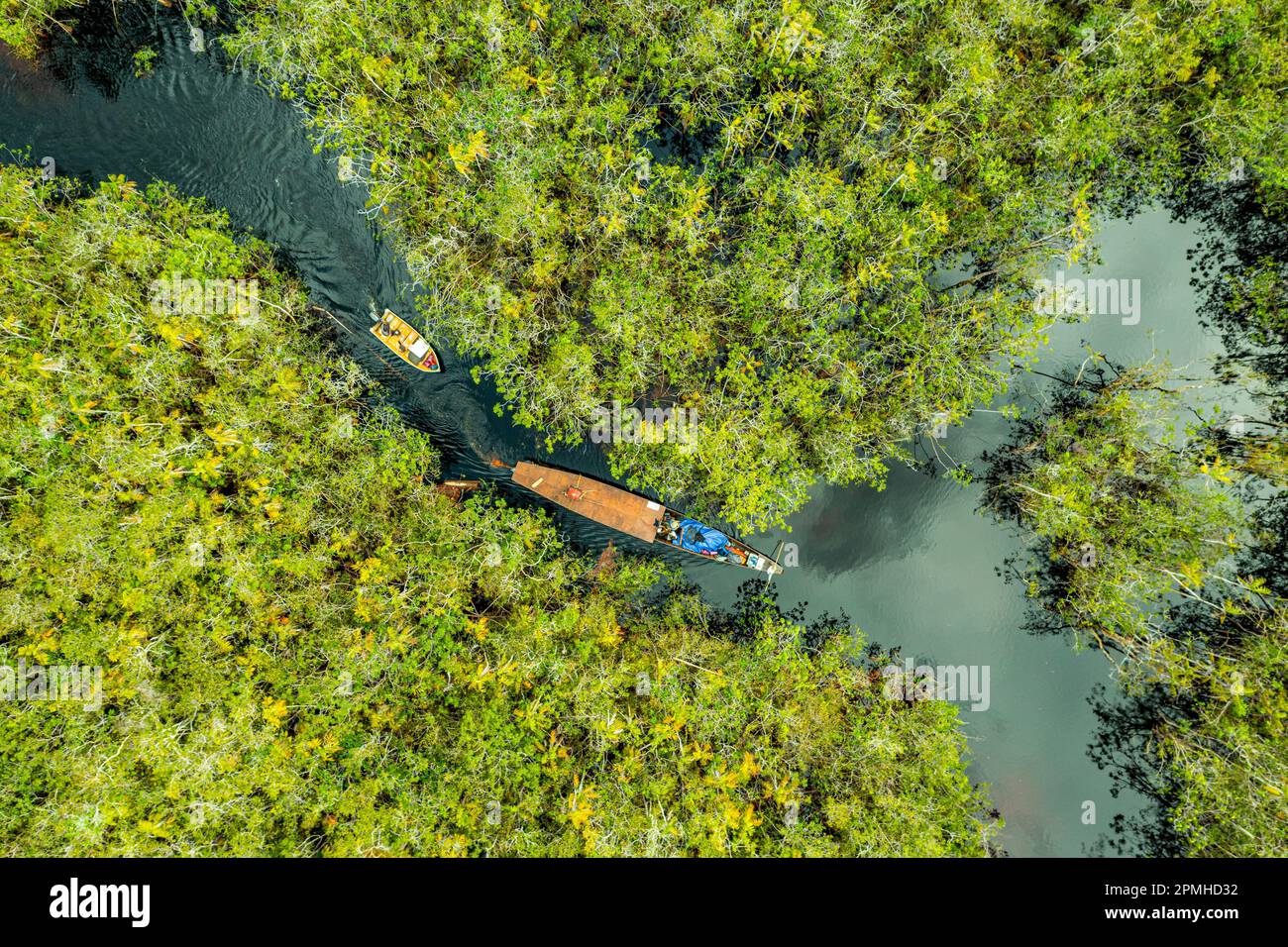 Aerial view of boat crossing through the deep jungle, Yanomami tribe, southern Venezuela, South America Stock Photo