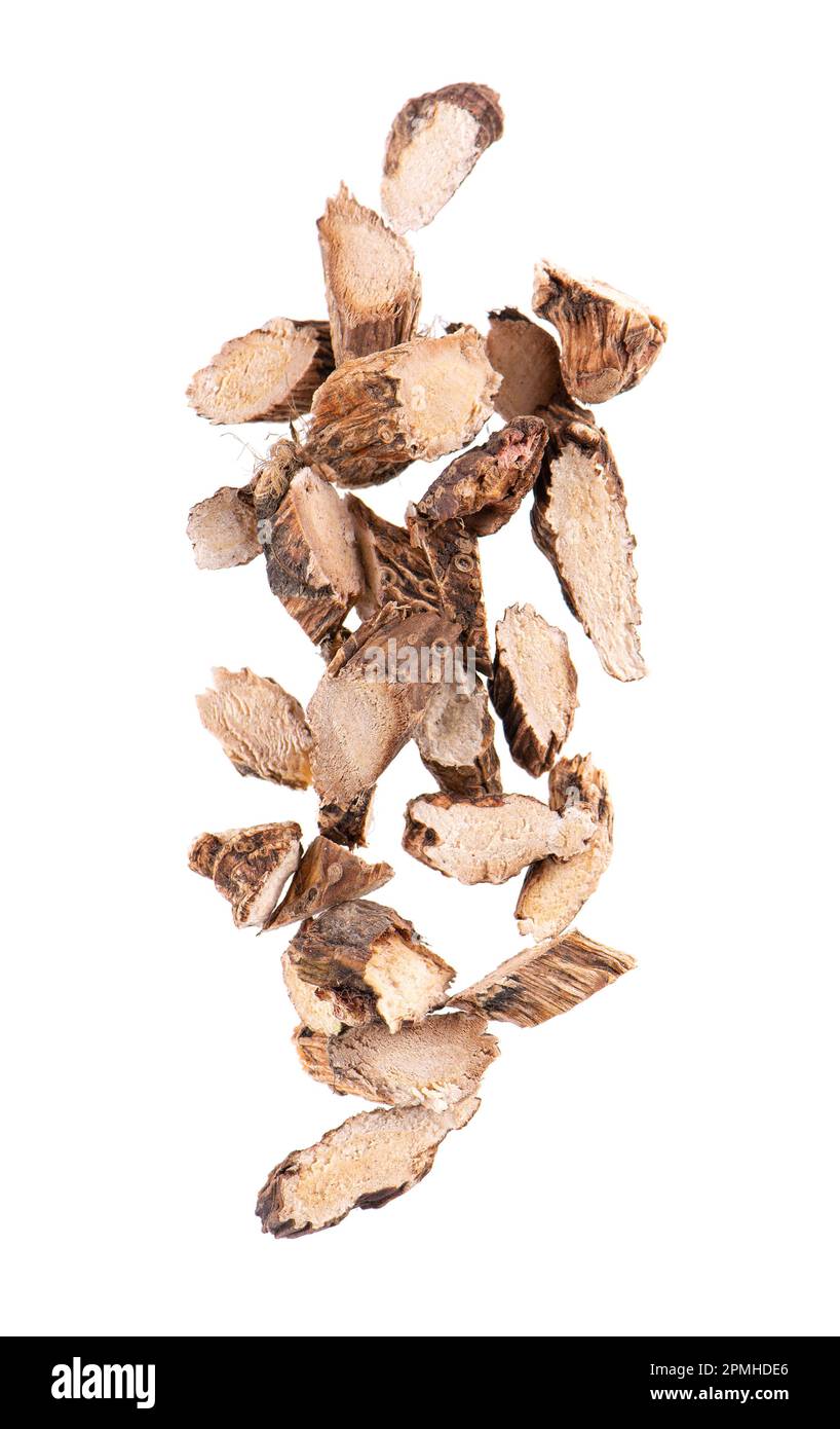 Calamus root isolated on white background. Sweet flag, sway or muskrat
