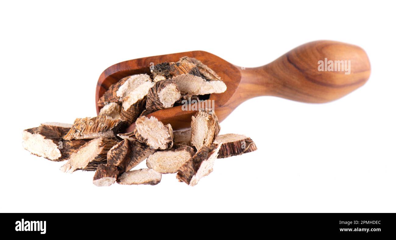 Calamus root in wooden spoon, isolated on white background. Sweet flag, sway or muskrat root. Dry root of Acorus calamus Stock Photo